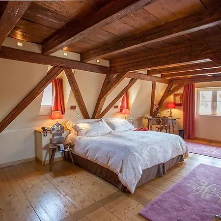 Hotel & Le Bouclier D'or Štrasburk
