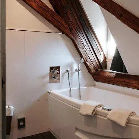 & Le Bouclier D'or 4* Štrasburk
