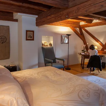 & Le Bouclier D'or Hotel Štrasburk